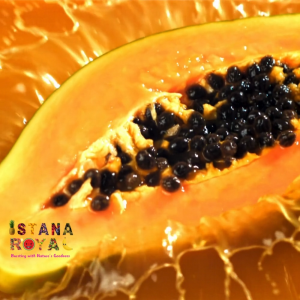 NUTRITIOUS HONG KONG PAPAYA IMPORTED FROM MALAYSIA - WHOLE - ISTANA ROYAL FRUITS