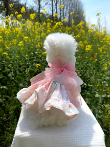 【original】 Pet Pantry Dog Dress Sweet Style Clothing Pet Gown for Birthday Summer Flower Dress Pet Clothes for Shihtzu Female Puppy Cat Skirt