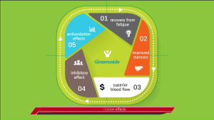 VALUE PACK ~ SASAMI Premium Quality You Can Trust