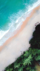 Combo 2c global success - Bài tập tiếng anh lớp 5 (tập 1 và 2) có đáp án