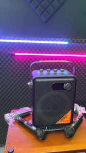 Loa Xách Tay Karaoke N125 Bass20 Đèn LED Nhiều Màu Kèm 2 Micro Karaoke Kết Nối Bluetooth 5.0 USB AUX Thẻ Nhớ