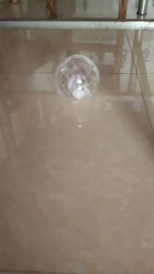 banh chạy không đế dành cho hamster - T3 PETS SHOP