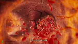 Etheral Bharata Obat Stroke Ringan Epilepsi Paling Ampuh Kemasan 500g Isi 50 Kapsul BPOM dan Halal