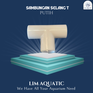 (T PUTIH) Sambungan T Pipa Aquarium / T Pipa Aquarium / Sambungan Pipa 5/8