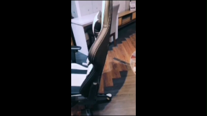 Gaming Chair /Office Chair /Ergonomic Office Chair Gaming Chair