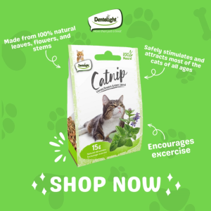 Dentalight Natural Catnip Leaves Flowers & Stem Blend 15g