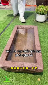 Combo 2 gói Hạt Giống Hoa Sen Mini Nhật Bản - Đủ Màu Siêu dễ trồng - 8 hạt/gói