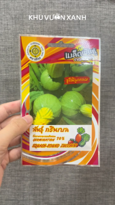 Hạt giống Bí ngòi (Bí ngồi) tròn xanh non - Gói 2gr khoảng 12 hạt - Nhập Thái Lan
