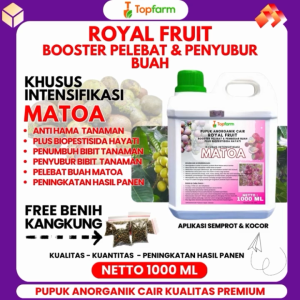 Pupuk Matoa Terbaik: Pilihan dan Cara Penggunaan