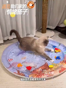 เบาะน้ำเป่าลม เบาะแมว เบาะนอนสัตว์เลี้ยง เสื่อเป่าลมเด็ก เสื่อเป่าลมแมว เบาะเป่าลม เบาะเป่าลมมีน้ำ เบาะเด็ก ของเล่นเด็ก เสริมทักษะเด็ก ใต้ทะเล เบาะเล่นน้ำ