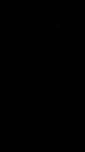 Brica B Pro 5 Action Camera Alpha Edition Mark III S - AE3S - BLACK - SERI EIS - Free Kaos