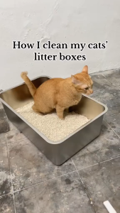 PAWCITY🐱【STAINLESS STEEL CAT LITTER BOX】Open Cat Litter Box Cat Toilet Tandas Kucing Besar Bekas Pasir 猫砂盆