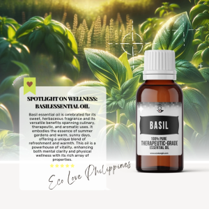 Eco Premium Basil Essential Oil 100% Pure Therapeutic Grade Steam Distilled 100% Pure Vegan Aromatherapy