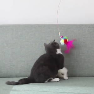 P30 |PET TOY| Cat Teaser long steel wire cat toys cat toys cat feather small flying insects cat toys cat toys