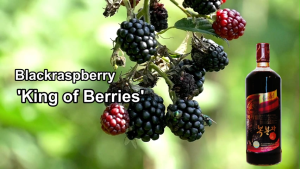 Pure Black Raspberry Juice (700ml) / Korean Berrywell Wild Bokbunja / Healthy Juice / Organically Cultivated / King of Berries / Highest Antioxidant Content / Highest Anthocyanin Content