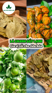 Lá chanh sấy khô 100g ( Nguyên liệu nấu ăn làm món khô gà lá chanh lẩu thái) - Chợ Thảo Dược Việt