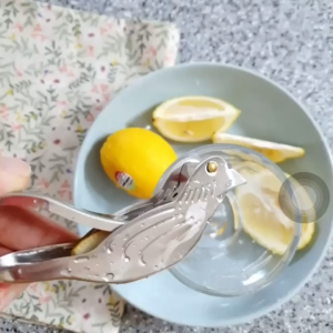 Dụng cụ ép chanh Casabeni Bird Squeezer