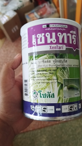 เซนทานันต์ เป็นกระดูกรอบ 500 กรัม สำหรับการป้องกันกำจัด ใช้ร่งกดสายพันธุ์ไอซาไว สำหรับใช้ในหนอนใยผักในคะน้า