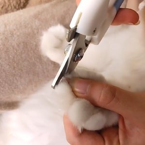 Bộ kìm cắt móng kèm dũa cho Chó Mèo - Love Pets Shop