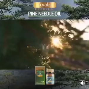 Royale Premium Pine Needle Oil