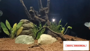 88 Premium BLUE Channa 1 mm - Pellet Pakan Makanan Ikan Pelet 100 gram