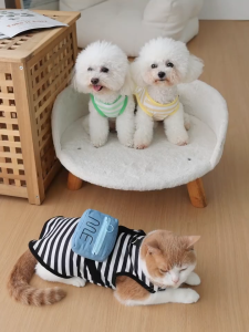 áo ba lỗ đeo túi shipper phía sau dành cho chó mèo - T3 PETS SHOP