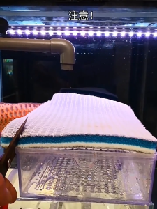 Ready Stock: Reusable 8D Fish Tank Filter Sponge Biochemical Aquarium Filter Foam Cotton Wool 8D No Glue Filter Media