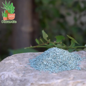 Green Zeolite 3~6mm Mineral Aquarium Terrarium Filter Media & Soil Amendments