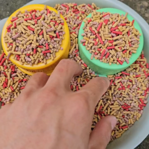 THỨC ĂN TỔNG HỢP CHO SÓC BAY ÚC (Sóc bôngsóc đất bọ úhamster...) size 20gam50gam100gam