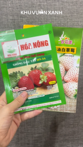 Hạt giống Dâu tây đỏ Dâu tây trắng - Gói 0.02gr - Tỉ lệ nảy mầm >90% - Trồng quanh năm