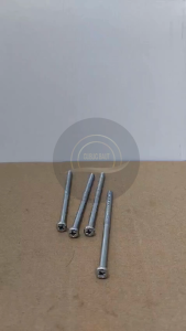 10 PCS BAUT JP M5 X 100 HEAD SEKRUP M5X100 PANJANG 10CM 10 CM BAUD 8 5X100 5 X 100 MM 100MM OBENG PLUS SKRUP PUTIH GALVANIZ GALVANIS GALPANIS PITCH DRAT 0.8