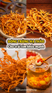 Đông trùng hạ thảo 1kg trà đông trùng bồi bổ sức khỏe nấu lẩu canh hầm gà thơm ngon