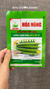 Hạt giống Mướp khía (Mướp tàu) xanh Gói 2gr khoảng 14 hạt Năng suất cao