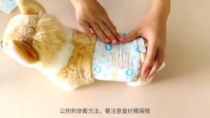 Popok Kucing Anjing Homindo Pets Anjing Kucing - Diaper Anjing Kucing Size XXS-XL Jantan Betina