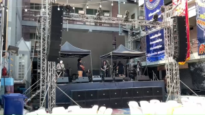 ตู้ลำโพงไลน์อาเรย์ 12 นิ้วTA(Thai Audio):TAL-12 เสียงชัด พุ่งไกล(พร้อมดอกและพาสซีฟ เน็ตเวิร์ก 2 ทาง) ไม้อัดแท้หนาพิเศษ