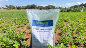 Phân Bón Tan Chậm RYNAN® NPK 20-15-15 (Hũ 150g/Túi 1kg/Bao 5kg/ 20kg)