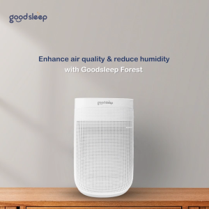 Forest 2 in 1 Air Purifier & Dehumidifier with HEPA 13 Medical Grade Filter