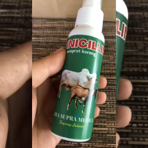 PINICILIN OBAT SEMPROT KORENG SAPI MENGOBATI PMK OBAT SCABIES SEMPROT OBAT GUDIX SPRAY BOROK ANTI LALAT SAPI KAMBING KELINCI