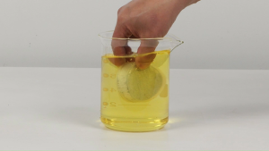 Lõi lọc nước vòi sen IONPOLIS KOREA - Lõi lọc đầu vòi sen - Khử sạch clo tàn dư lọc sạch gỉ sét