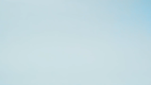 100% Pure Organic & Authentic Salveo Barley Grass Powder (Trial Pack, Capsule, Jar Sbg)