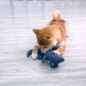 【Junjun】ของเล่นสัตว์เลี้ยง ของเล่นตุ๊กตาจระเข้ 30cm ส่งเสียงได้ ทําความสะอาดฟัน ของเล่นสุนัข