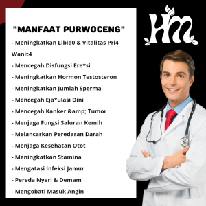 HerbalQulogy - PURWOCENG Isi 60 & 100 Kapsul Murni alami 100% Original 30 kapsul purwoceng proceng