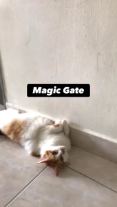 Dog Cat Pet Railing Fences Portable Folding Pet Isolated Fence Puppy Divider Safety Mesh Net Home Stair Guard Gate