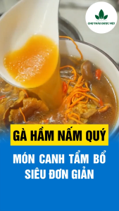 Set gà hầm nấm quý to (Súp gà nấm lẩu nấm thơm ngon bổ dưỡng) - Chợ Thảo Dược Việt