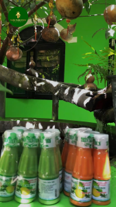 Combo 6 Chai Muối Ớt Chanh Xanh Thiên Thiên Food 130g Muối Chấm Hải Sản Thơm Ngon