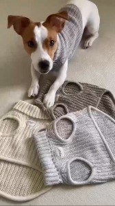 Midnight Layer - Knitwear Collection - เสื้อผ้าสัตว์เลี้ยง เสื้อสุนัข เสื้อหมา เสื้อแมว (DARK GREY)