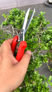 Gunting Seng Holo / Baja Ringan CAMEL JL-905 / Gunting Serba Guna Korea