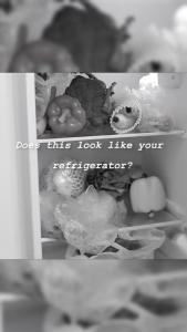 Reusable Food Storage Bags: Travel Food Storage Solutions