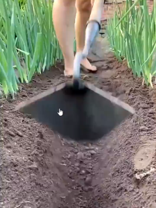 Cangkul Segitiga & Rake Penyiangan: Alat Berkebun yang Efektif