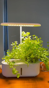 【ฟาร์มของครอบครัว】บ้านอัจฉริยะเครื่องปลูกผักไฮโดรโปนิกระบบ Soilless อุปกรณ์การเพาะปลูกผักไฮโดรโปนิกหม้อพืชกล่องปลูกดอกไม้